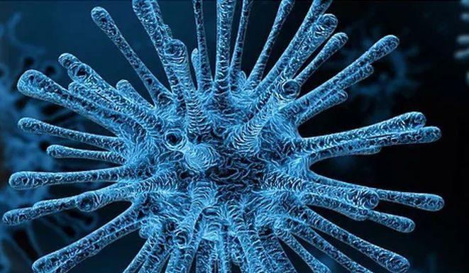 Coronavirus, è emiliano il primo italiano contagiato