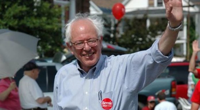 Stati Uniti, Sanders vince le primarie Dem in New Hampshire