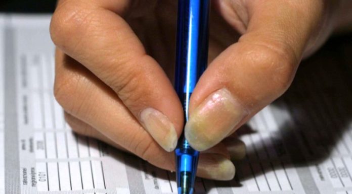 Crescono le partite Iva, maggior aumento nell’istruzione