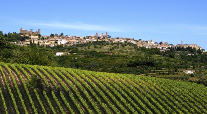 Vino e sport insieme per il sogno olimpico Milano-Cortina