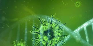 Coronavirus, De Luca “No allarmismi ma attenzione alta”