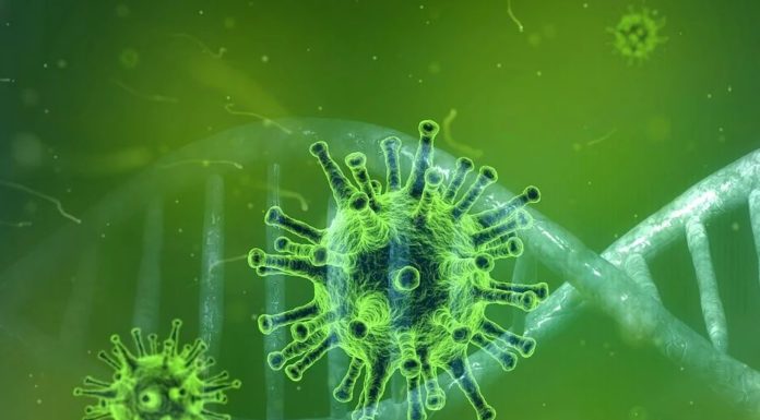 Coronavirus, altri 8 casi in Lombardia