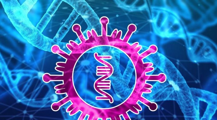 Coronavirus, due casi anche nel Padovano. Zaia: “Misure rigorose”