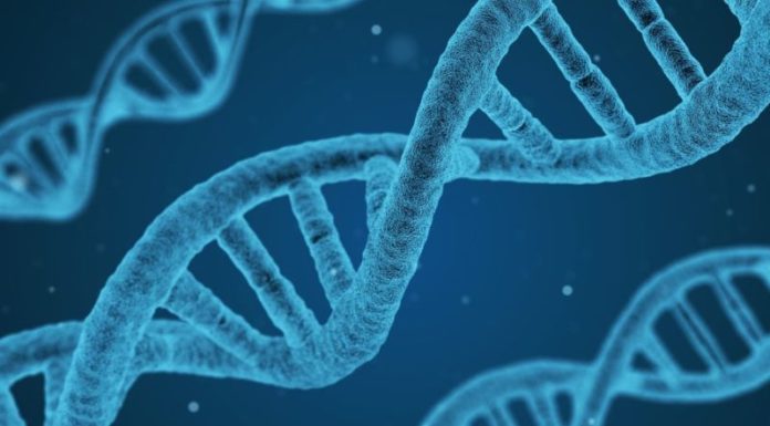 Salute, Ordine biologi e Sigu dicono no a test genetici nelle farmacie