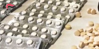 Traffico anabolizzanti, 20 indagati tra Sicilia, Calabria e Toscana