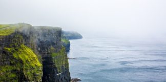 Irlanda, record per le esportazioni di alimenti e bevande