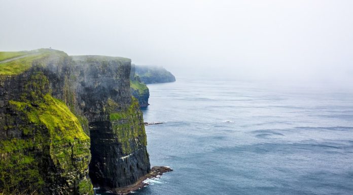 Irlanda, record per le esportazioni di alimenti e bevande