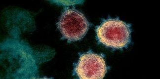 E’ morta la 76enne positiva al coronavirus a Treviso, 11 le vittime