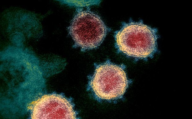 E’ morta la 76enne positiva al coronavirus a Treviso, 11 le vittime