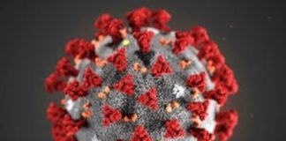 Coronavirus, dipendente Snam di San Donato Milanese positivo al test