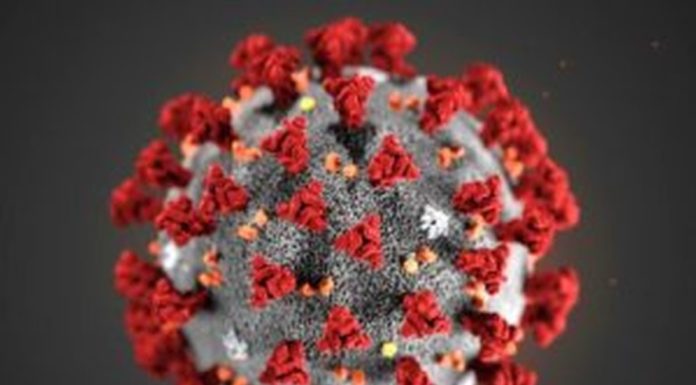 Coronavirus, dipendente Snam di San Donato Milanese positivo al test