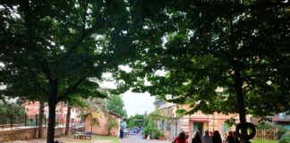 Lucha y Siesta, la Regione parteciperà all’asta