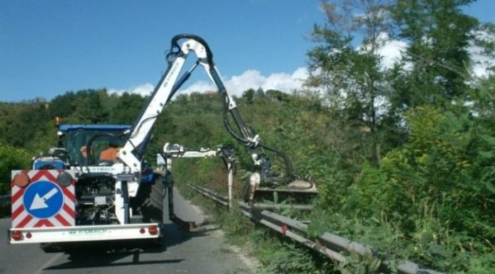 Sicilia, 2 bandi per manutenzione opere in verde