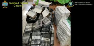 Stroncato traffico di cocaina dalla Colombia
