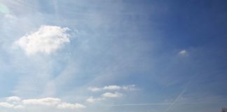 Coronavirus, il Gp di F.1 del Vietnam ci sarà