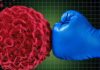 L’Australia amplia l’accesso pubblico all’immunoterapia contro il cancro