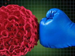 L’Australia amplia l’accesso pubblico all’immunoterapia contro il cancro