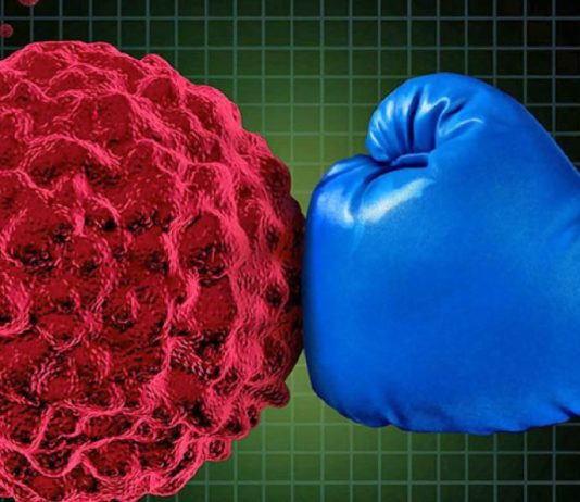 L’Australia amplia l’accesso pubblico all’immunoterapia contro il cancro