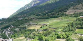 Vda, bando manifestazioni di interesse agricolo scade il 28