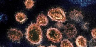 Coronavirus, in ginocchio il comparto allestimento fiere ed eventi