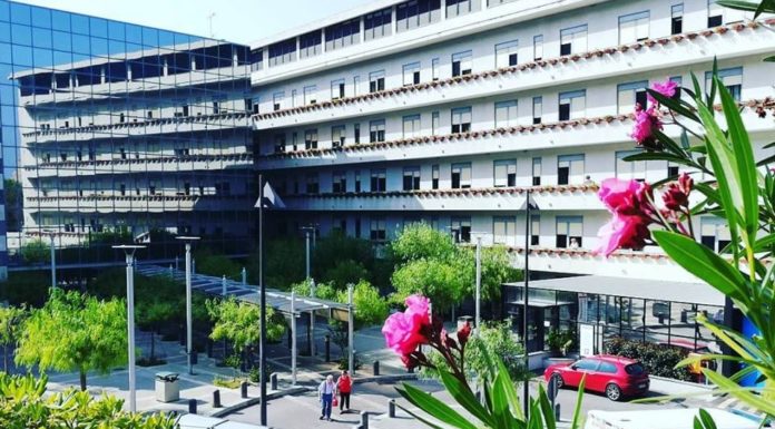 La Fondazione Giglio di Cefalu’ cerca un socio privato per la ricerca