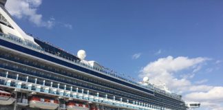 Mattarella nomina commendatore il comandante della Diamond Princess