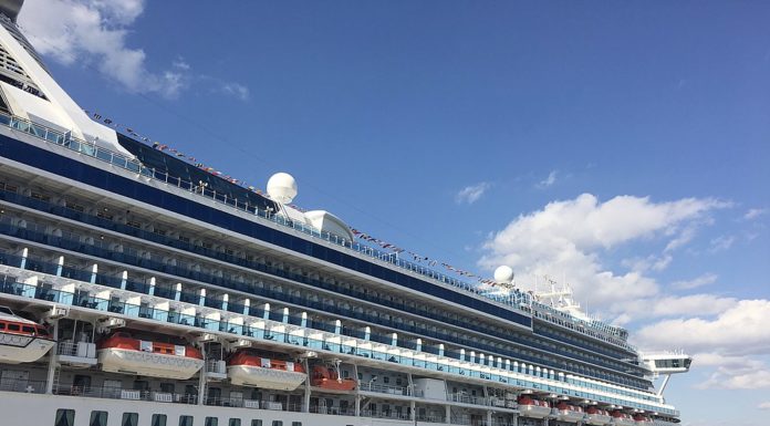 Mattarella nomina commendatore il comandante della Diamond Princess