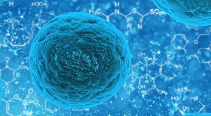 Coronavirus, da comparto farmaceutico e sindacati nuovo avviso comune