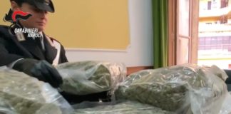 Sequestrati 48 kg di marijuana nel Casertano, provenivano dalla Spagna