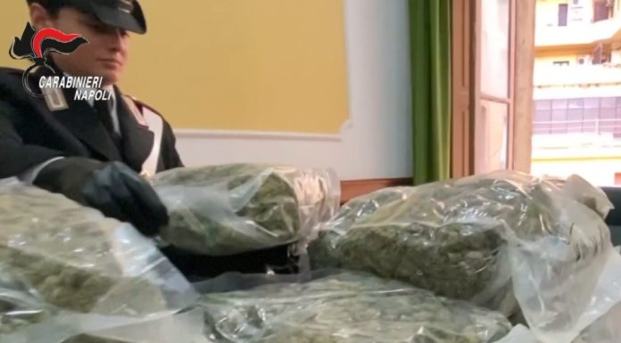 Sequestrati 48 kg di marijuana nel Casertano, provenivano dalla Spagna
