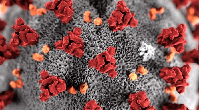 Da Assogenerici e Cittadinanzattiva campagna social sul coronavirus