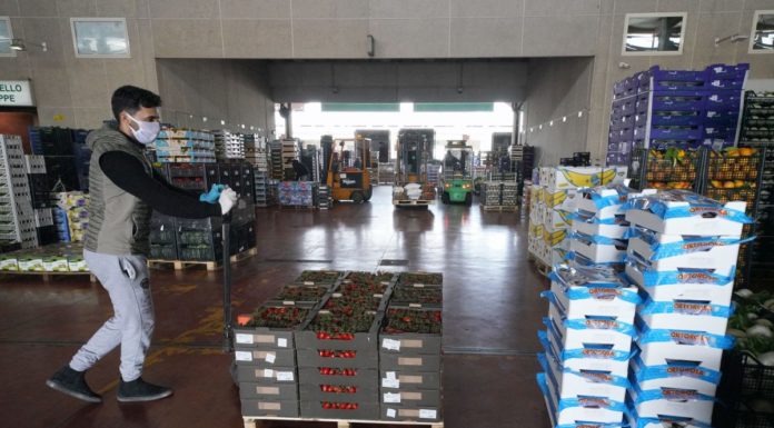 Coronavirus, dall’Ismea agevolazioni per le imprese agroalimentari