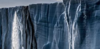 I Pearl Jam tornano con il nuovo album “Gigaton”