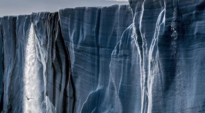 I Pearl Jam tornano con il nuovo album “Gigaton”