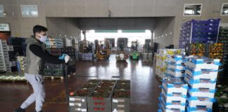 Coronavirus, dall’Ismea agevolazioni per le imprese agroalimentari