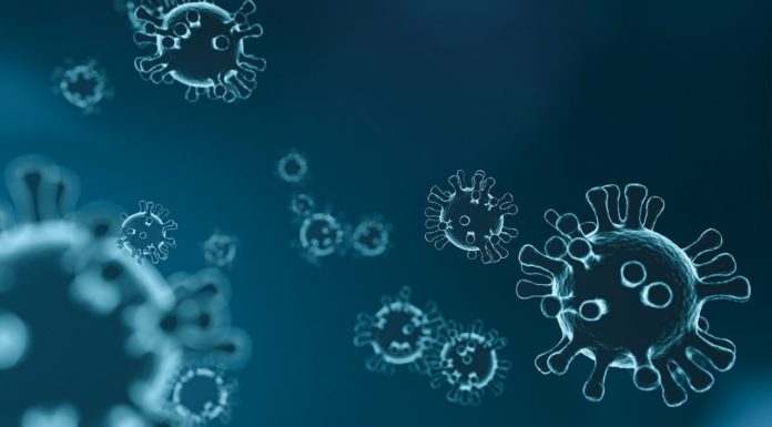 Uno studio, immunosoppressione non aumenta rischio covid nei trapiantati