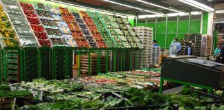 Uila-Uil “No a un milione di disoccupati con l’ortofrutta che marcisce”