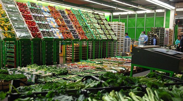 Uila-Uil “No a un milione di disoccupati con l’ortofrutta che marcisce”