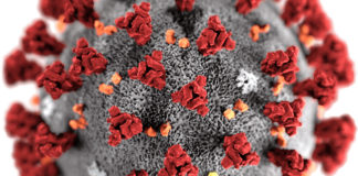 Coronavirus, in Sicilia meno ricoveri e più guariti