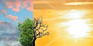 Earth Day, da P&G “Storie di Cittadinanza d’Impresa 2019”