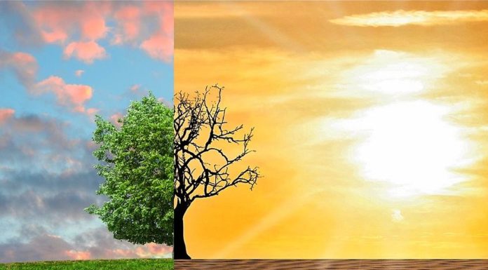 Earth Day, da P&G “Storie di Cittadinanza d’Impresa 2019”