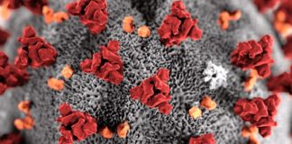 Via libera ad app su coronavirus, mancato uso non limita diritti