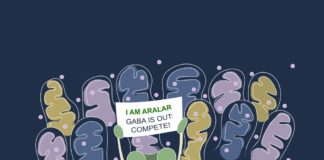 Autismo e Schizofrenia, possibile nuova strategia terapeutica