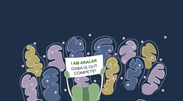 Autismo e Schizofrenia, possibile nuova strategia terapeutica