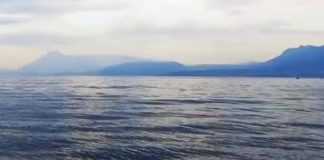 Nasce Consulta del traghettamento privato sullo Stretto