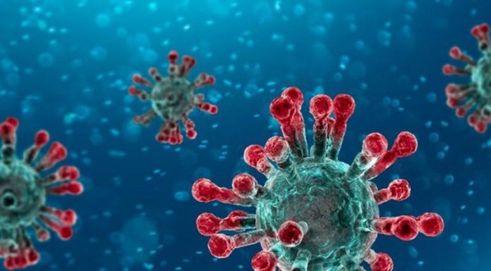 Coronavirus, Ue lancia patto per il vaccino