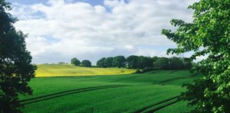 Agricoltura, prestiti agevolati per 95 milioni in Emilia Romagna