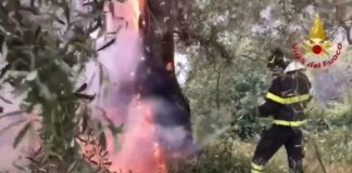 Incendi alimentati dal forte vento a Palermo ed in provincia