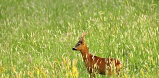 Dal 18 al 24 maggio prima edizione “Settimana della natura”