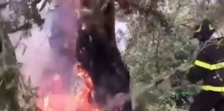 Italia divisa tra incendi e maltempo